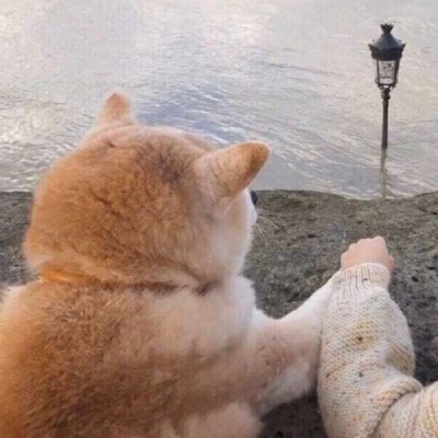 一左一右的微信唯美情侣头像合集