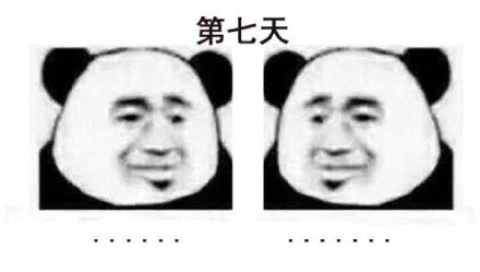 和朋友的健身日常系列微信熊猫头表情包