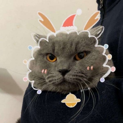 一左一右的微信唯美情侣头像合集