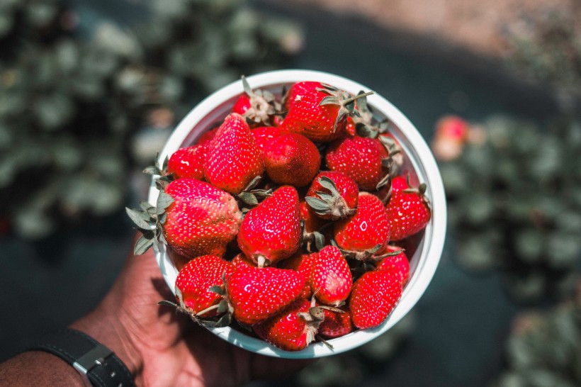 鲜红诱人的草莓微信唯美摄影图片