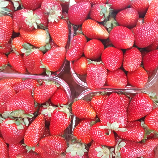 鲜红诱人的草莓微信唯美摄影图片