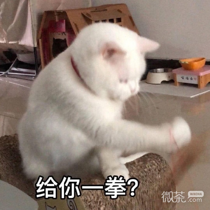 让人爆笑的微信沙雕群聊表情包