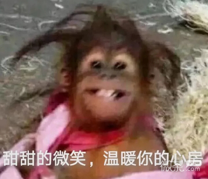 让人爆笑的微信沙雕群聊表情包