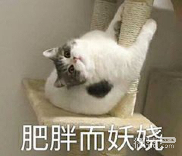 让人爆笑的微信沙雕群聊表情包