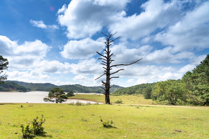 风景优美的大草原微信唯美摄影图片