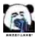 失去味觉熊猫头微信恶搞带字表情包