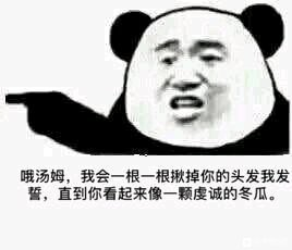 ？？？熊猫头表情包