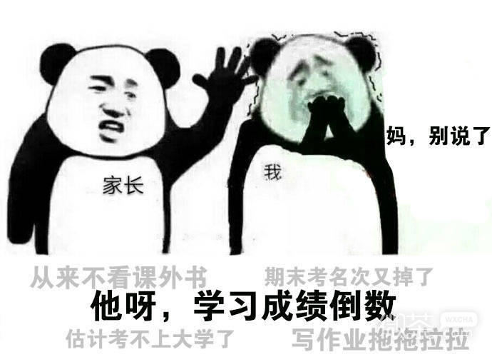 爸妈关于我的介绍系列微信表情包