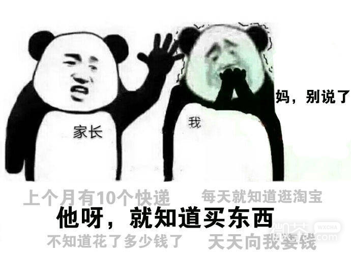 爸妈关于我的介绍系列微信表情包