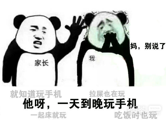 爸妈关于我的介绍系列微信表情包