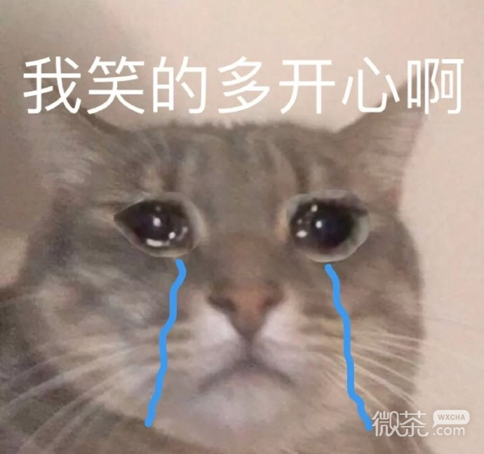 搞怪又沙雕的微信群聊斗图表情包