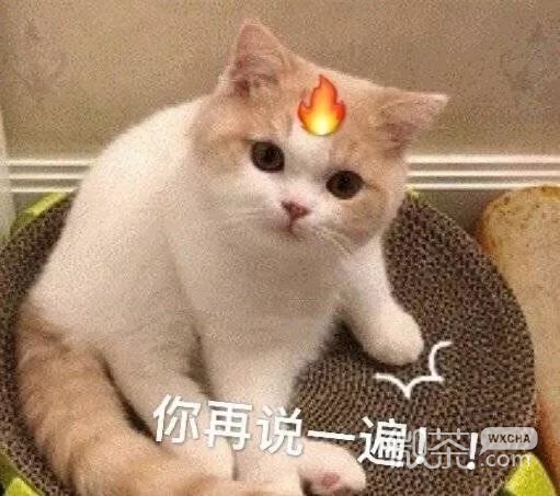 搞怪又沙雕的微信群聊斗图表情包