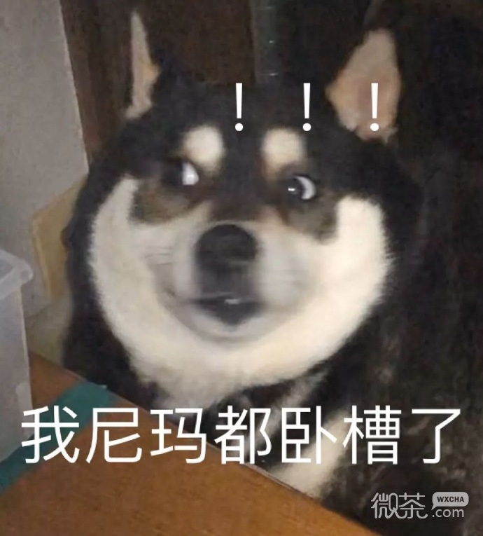搞怪又沙雕的微信群聊斗图表情包