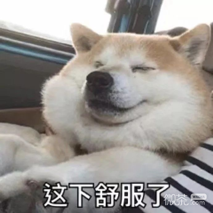 搞怪又沙雕的微信群聊斗图表情包
