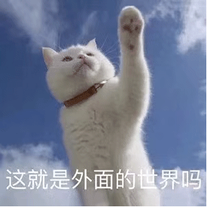 隔离期间斗图专用的微信带字表情包