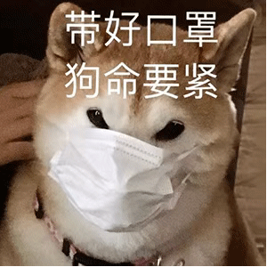 隔离期间斗图专用的微信带字表情包