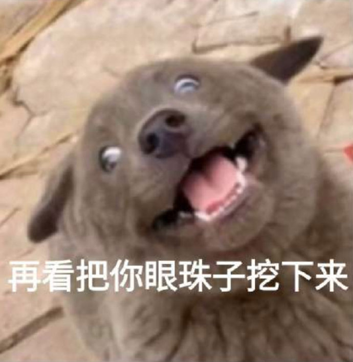搞笑沙雕的微信网红汪星人表情包