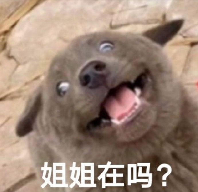 搞笑沙雕的微信网红汪星人表情包