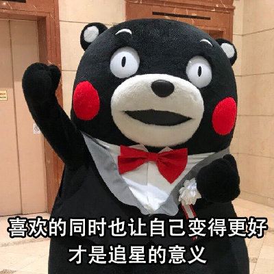 熊本熊追星的意义系列微信表情包
