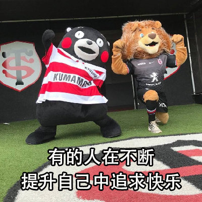 熊本熊追星的意义系列微信表情包