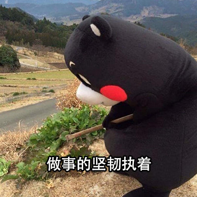 熊本熊追星的意义系列微信表情包