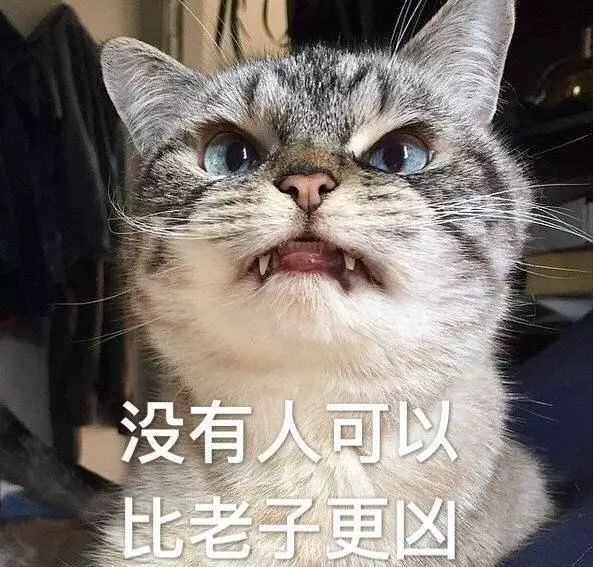 没人可以比我更凶微信沙雕带字表情包