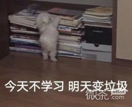 微信群聊斗图专用的降智表情包