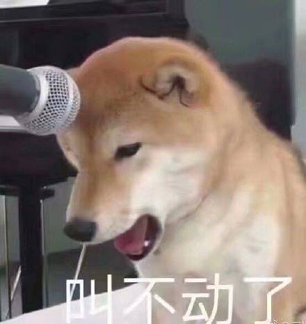 接住恶搞斗图表情包