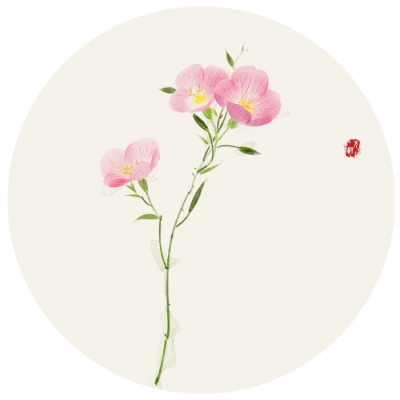 唯美好看的微信手绘花朵头像