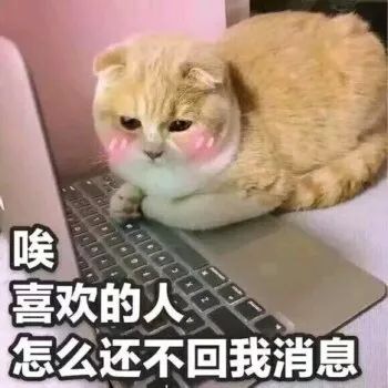 可爱搞笑的微信喵星人带字表情包