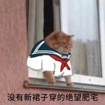 可爱搞笑的微信喵星人带字表情包