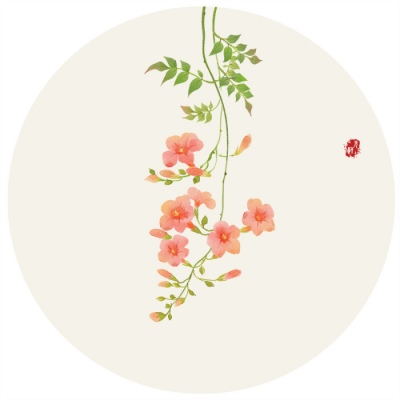 唯美好看的微信手绘花朵头像