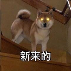 接住恶搞斗图表情包