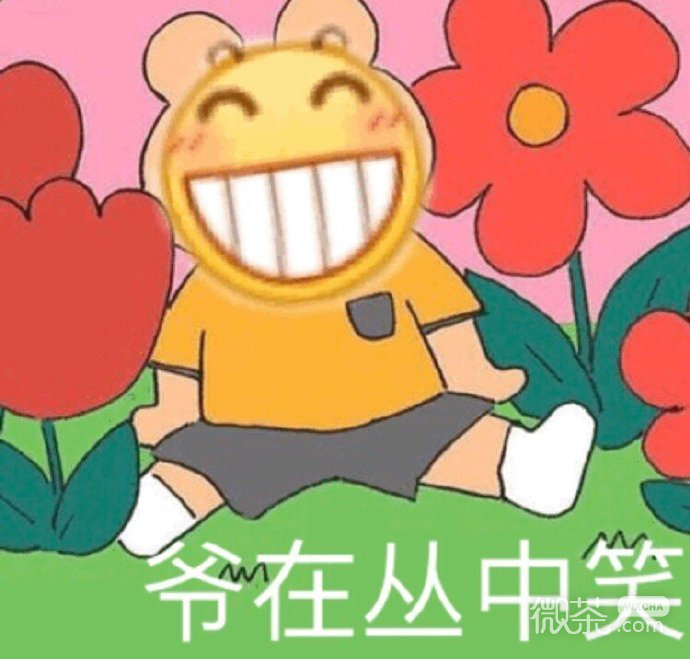 微信群聊斗图专用的降智表情包