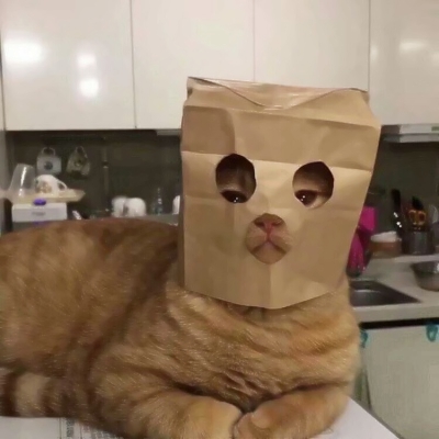 搞笑又沙雕的微信动物主题头像