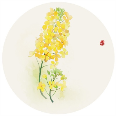 唯美好看的微信手绘花朵头像