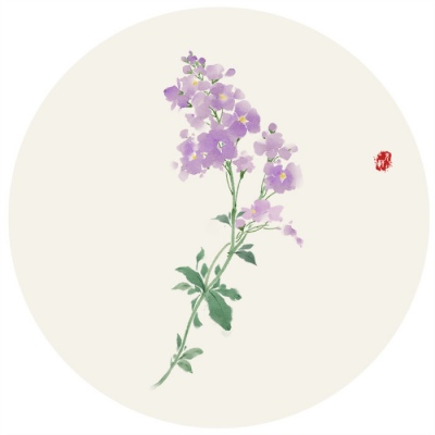 唯美好看的微信手绘花朵头像