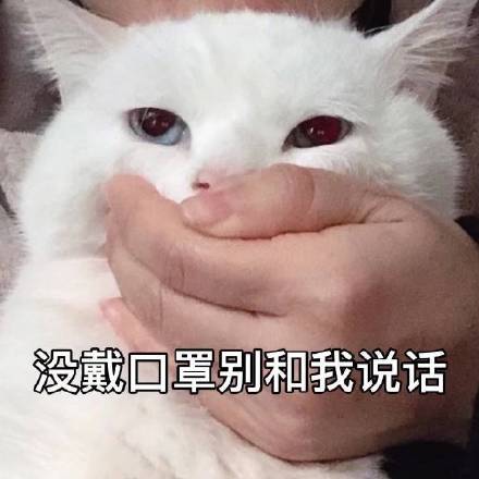 接住恶搞斗图表情包