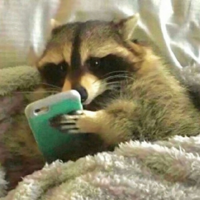 搞笑又沙雕的微信动物主题头像