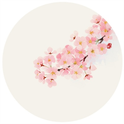 唯美好看的微信手绘花朵头像