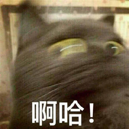 近期微信斗图恶搞表情包2020/3/5