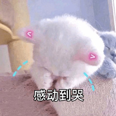 是啊孙子微信恶搞斗图表情包