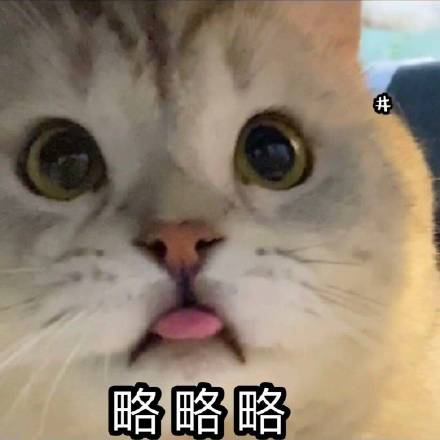 是啊孙子微信恶搞斗图表情包