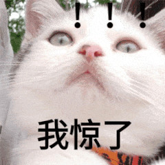 你在微信恶搞斗图表情包