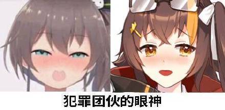 学习去微信恶搞斗图表情包