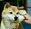 是啊孙子微信恶搞斗图表情包
