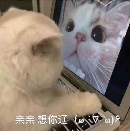 要命恶搞斗图表情包