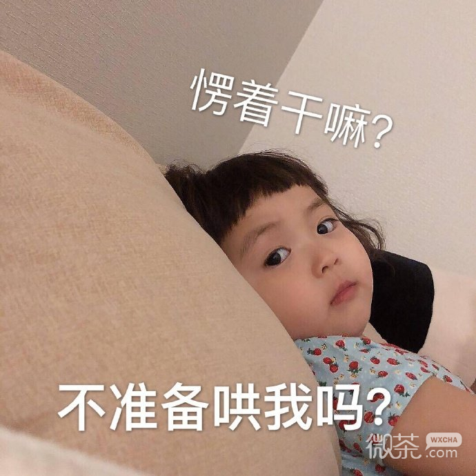 斗图专用的微信搞笑带字表情包合集