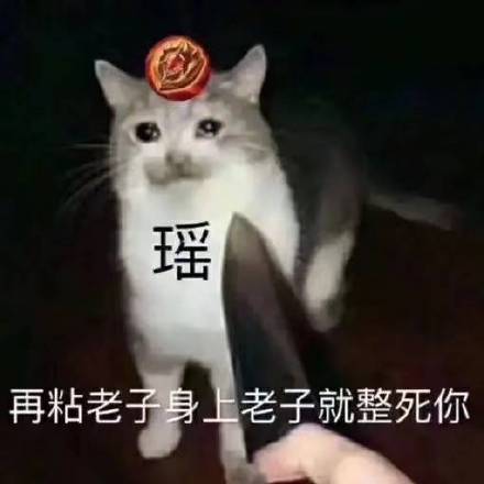 要命恶搞斗图表情包