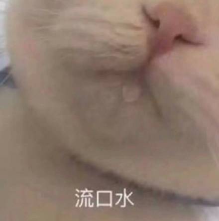 是啊孙子微信恶搞斗图表情包